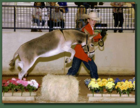 Foxy & Brittney Wilhoit at the 2004 Nationals in Waco, Texas
